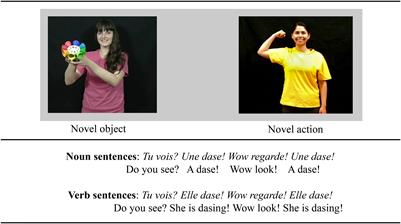 Studying the Real-Time Interpretation of Novel Noun and Verb Meanings in Young Children